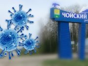 За сутки коронавирус выявлен у 15 жителей Республики Алтай