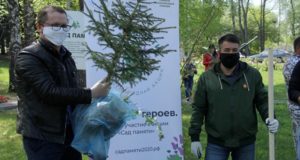 Более 28 тысяч деревьев высадили в Республике Алтай в рамках акции «Сад памяти»