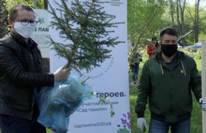 Более 28 тысяч деревьев высадили в Республике Алтай в рамках акции «Сад памяти» Более 28 тысяч деревьев высадили в Республике Алтай в рамках акции «Сад памяти»