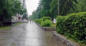 Кратковременные дожди и грозы ожидаются на Алтае