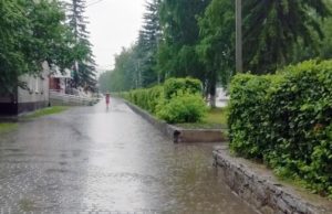 Кратковременные дожди и грозы ожидаются на Алтае Кратковременные дожди и грозы ожидаются на Алтае