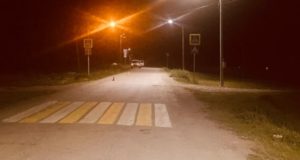 Подростки на мотоцикле врезались в лошадь и попали в больницу Подростки на мотоцикле врезались в лошадь и попали в больницу
