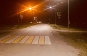 Подростки на мотоцикле врезались в лошадь и попали в больницу Подростки на мотоцикле врезались в лошадь и попали в больницу