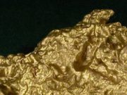 75 лет назад на Алтае нашли полукилограммовый золотой самородок