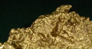 75 лет назад на Алтае нашли полукилограммовый золотой самородок
