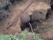В Ленинградской области найдено место гибели солдата, призванного из Усть-Коксинского района В Ленинградской области найдены останки солдата, призванного из Усть-Кокиснкого района