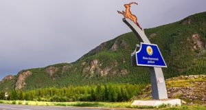 30 новых случаев заражения коронавирусом. 29 из них – в Кош-Агачском районе 30 новых случаев заражения коронавирусом. 29 из них – в Кош-Агачском районе