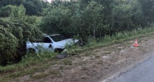 На Телецком тракте попал в аварию житель Алтайского края на «Лексусе»