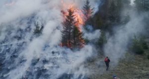 Из-за преступной небрежности местного жителя сгорело несколько гектаров леса Из-за преступной небрежности местного жителя сгорело несколько гектаров леса