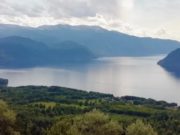 Жаркая погода с кратковременными дождями и грозами ожидается на Алтае