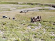 В урочище Бугузун перевернулся УАЗ, водитель погиб В урочище Бугузун перевернулся УАЗ, водитель погиб