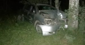 Нетрезвый водитель без прав врезался в дерево возле Усть-Коксы