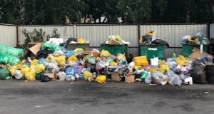 За плохую уборку мусора «Коммунальщик» оштрафовали уже в 14-й раз