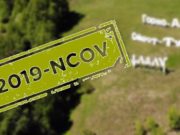За сутки выявлен 31 случай заражения коронавирусом За сутки выявлен 31 случай заражения коронавирусом
