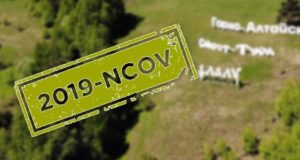 За сутки выявлен 31 случай заражения коронавирусом