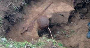 В Ленинградской области найдено место гибели солдата, призванного из Усть-Коксинского района В Ленинградской области найдены останки солдата, призванного из Усть-Кокиснкого района