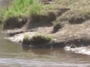 В Онгудайском районе утонул полуторагодовалый ребенок В Онгудайском районе утонул полуторагодовалый ребенок