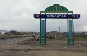 14 новых случаев заражения коронавирусом. Кош-Агач вышел на первое место по заболеваемости