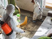 Восемь новых случаев заражения коронавирусом выявлено в Республике Алтай