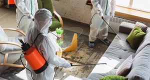 Восемь новых случаев заражения коронавирусом выявлено в Республике Алтай