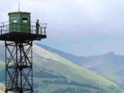 Чаще всего правила пограничного режима на Алтае нарушают приезжие