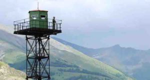 Чаще всего правила пограничного режима на Алтае нарушают приезжие
