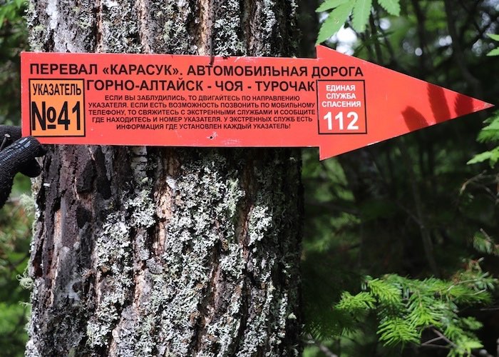 Спасатели установили 50 указателей для заблудившихся в лесу