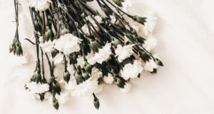 Ритуальная служба Ritual.ru в Екатеринбурге – универсальный сервис с высоким качеством услуг