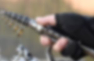 Выбор спиннинга в режиме онлайн