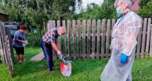 66% избирателей в Республике Алтай поддержали поправки в Конституцию