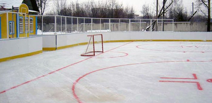 В десяти селах Республики Алтай установят хоккейные коробки
