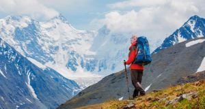 Отдых в Горном Алтае становится доступнее для жителей страны