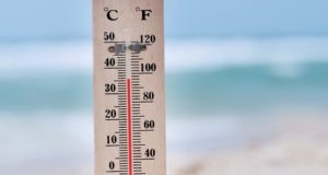 На Алтае прогнозируется аномальная жара, объявлено экстренное предупреждение