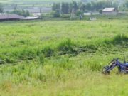 Более пяти гектаров дикорастущей конопли уничтожили в Карлушке