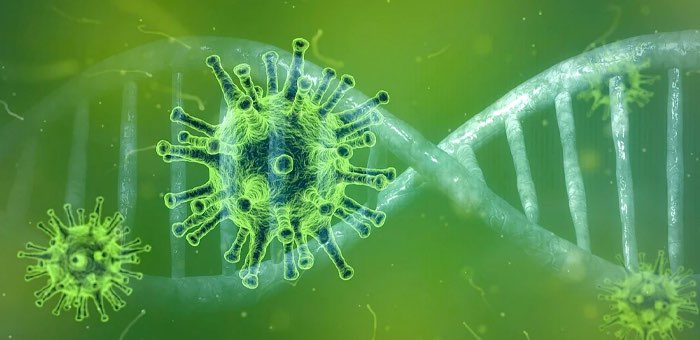 22 случая заражения коронавирусом выявлено за минувшие сутки