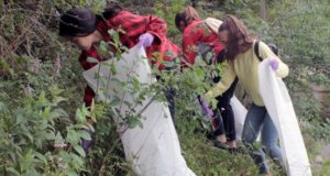 22 мешка мусора собрали активисты у реки Кокса в любимом месте отдыха сельчан 22 мешка мусора собрали активисты у реки Кокса в любимом месте отдыха сельчан