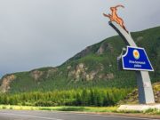32 новых случая заражения коронавирусом за сутки. Половина из них – в Кош-Агачском районе 32 новых случая заражения коронавирусом за сутки. Половина из них – в Кош-Агачском районе