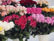 Директор горно-алтайской школы попалась на старую уловку мошенников Директор горно-алтайской школы попалась на старую уловку мошенников