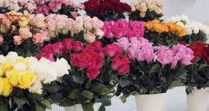 Директор горно-алтайской школы попалась на старую уловку мошенников Директор горно-алтайской школы попалась на старую уловку мошенников