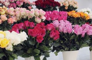 Директор горно-алтайской школы попалась на старую уловку мошенников Директор горно-алтайской школы попалась на старую уловку мошенников