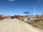 Чума в Монголии не угрожает Республике Алтай Чума в Монголии не угрожает Республике Алтай