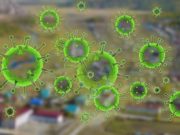Коронавирус на Алтае: вспышка в Усть-Канском районе и еще одна смерть