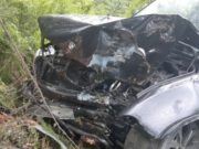 Туристы на BMW врезались в дерево на Улаганском тракте