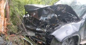 Туристы на BMW врезались в дерево на Улаганском тракте Туристы на BMW врезались в дерево на Улаганском тракте