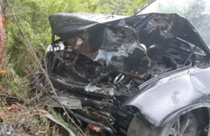Туристы на BMW врезались в дерево на Улаганском тракте Туристы на BMW врезались в дерево на Улаганском тракте