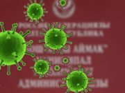 32 новых случая заражения коронавирусом за сутки выявлено на Алтае