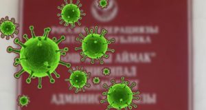32 новых случая заражения коронавирусом за сутки выявлено на Алтае