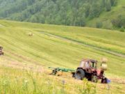 Хозяйства Республики Алтай приступили к кормозаготовительной кампании Хозяйства Республики Алтай приступили к кормозаготовительной кампании