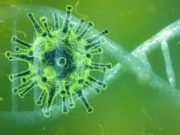 14 новых случаев заражения коронавирусом выявлено за сутки 14 новых случаев заражения коронавирусом выявлено за сутки