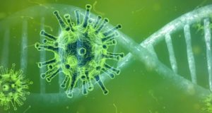 14 новых случаев заражения коронавирусом выявлено за сутки